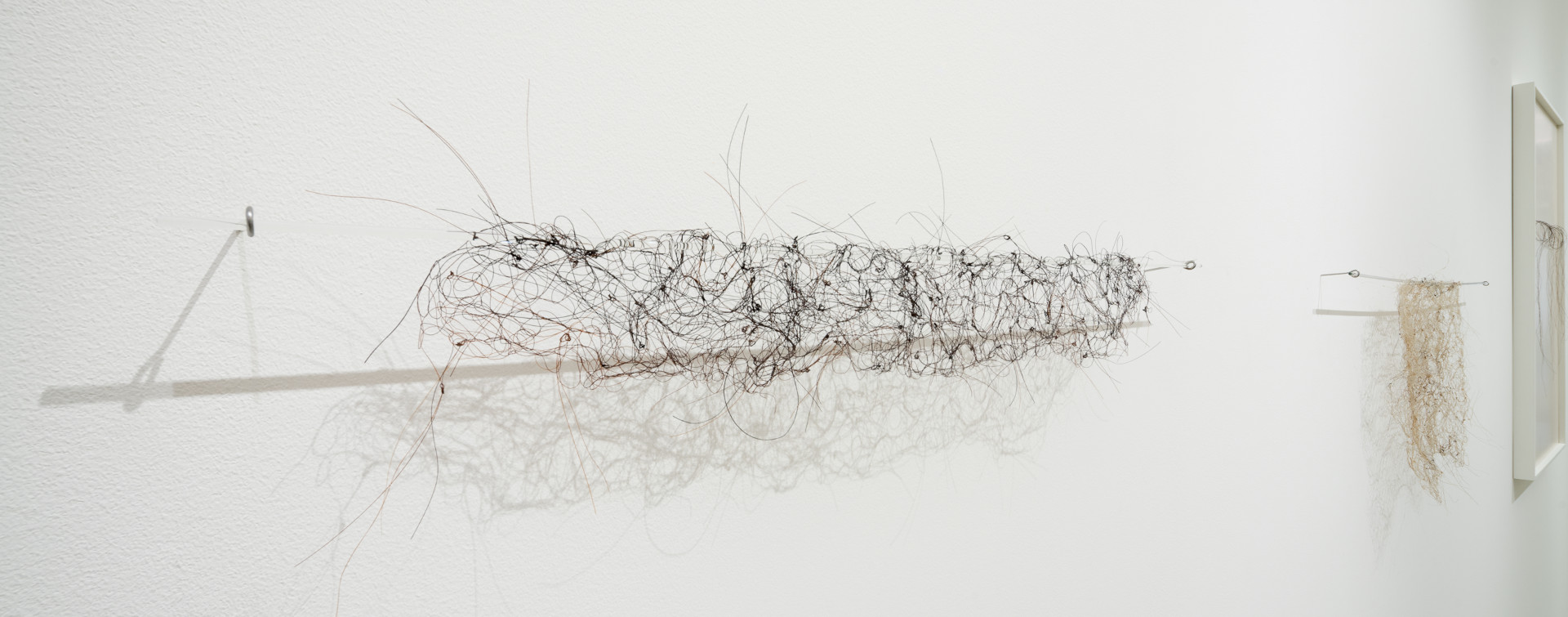 expo saison contemporaine